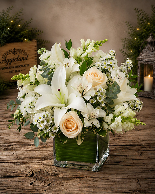 Comfort and Peaceful Blossoms - White