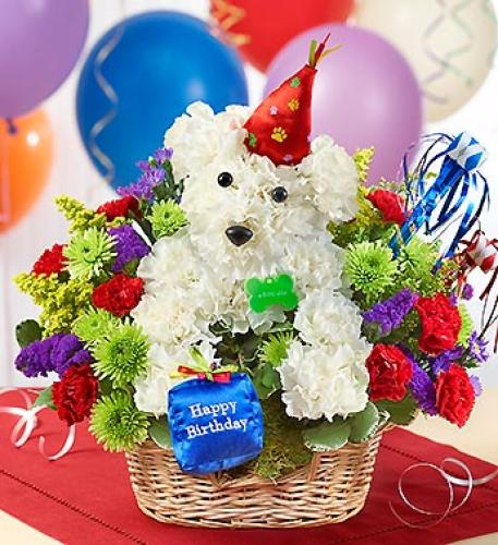Another Year \'Rover!