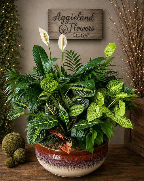 Moss & Fern Dish Garden Stoneware~ (XLarge 14\")