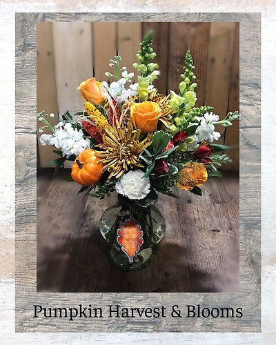 Pumpkin Harvest & Blooms