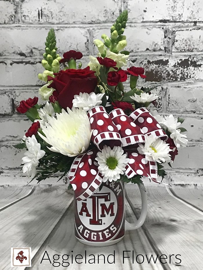 Aggie Mug Hug and Treat
