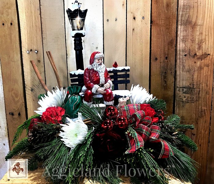 Special - Santa in the Snowy Park