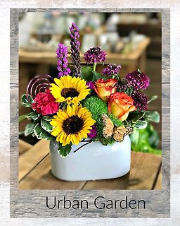 Urban Garden