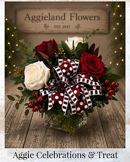 Aggie Celebrations & Treat