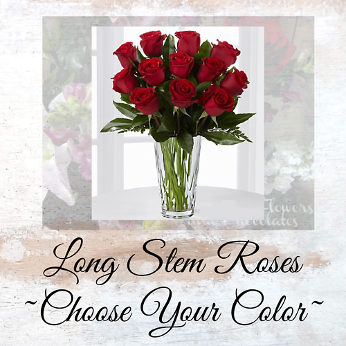 Choose your Color - Long Stem Roses