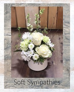 Soft Sympathies