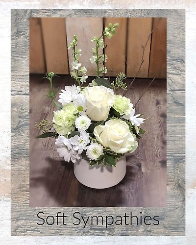 Soft Sympathies