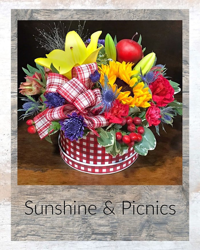 Sunshine & Picnics