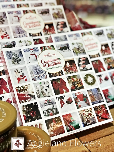 Hallmark Countdown to Christmas Advent Calendar