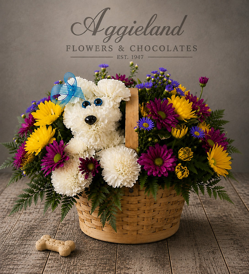 Paws & Petals with Treat