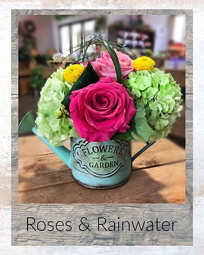 Roses & Rainwater with Treat