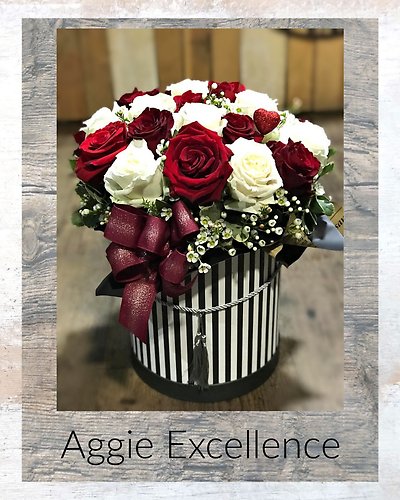 Aggie Excellence