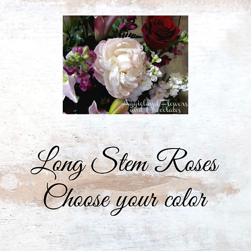 Choose your Color - Long Stem Roses