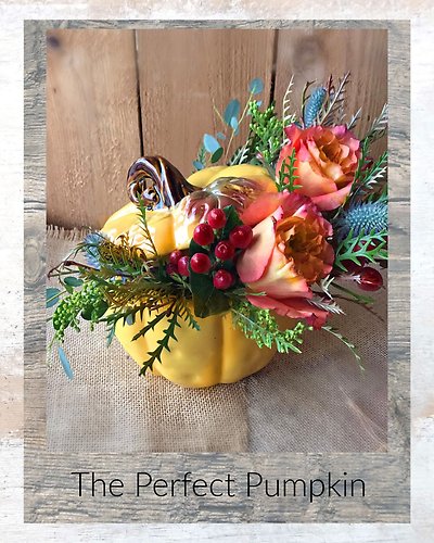 The Perfect Pumpkin