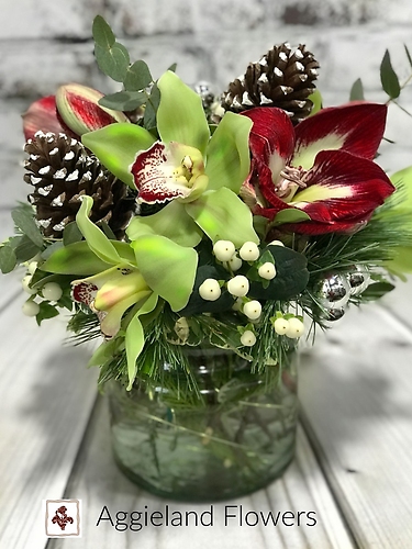 Orchids and Amaryllis Holiday Arrangement