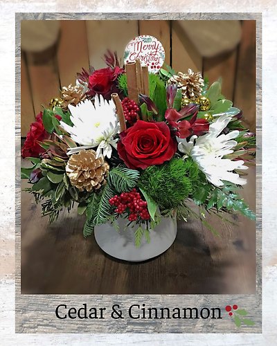 Cedar & Cinnamon with Truffles