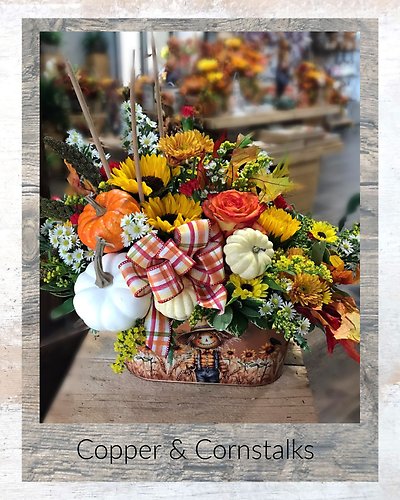 Copper & Cornstalks