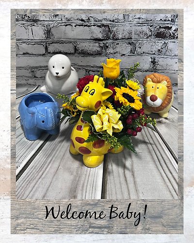 Welcome Baby Animals $59.95