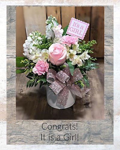 Congrats! It is a Girl!