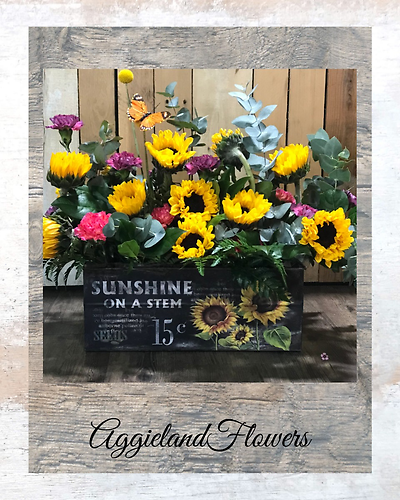 Sunshine & Sunflowers