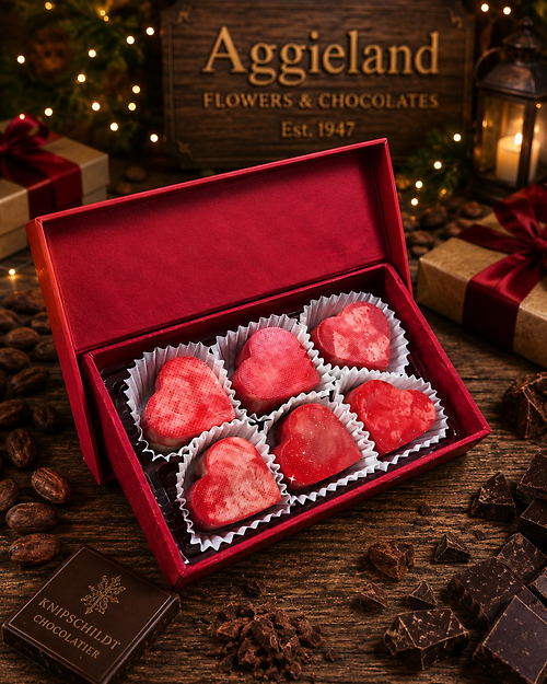 Knipschildt ~ 6pc Salted Caramel Hearts
