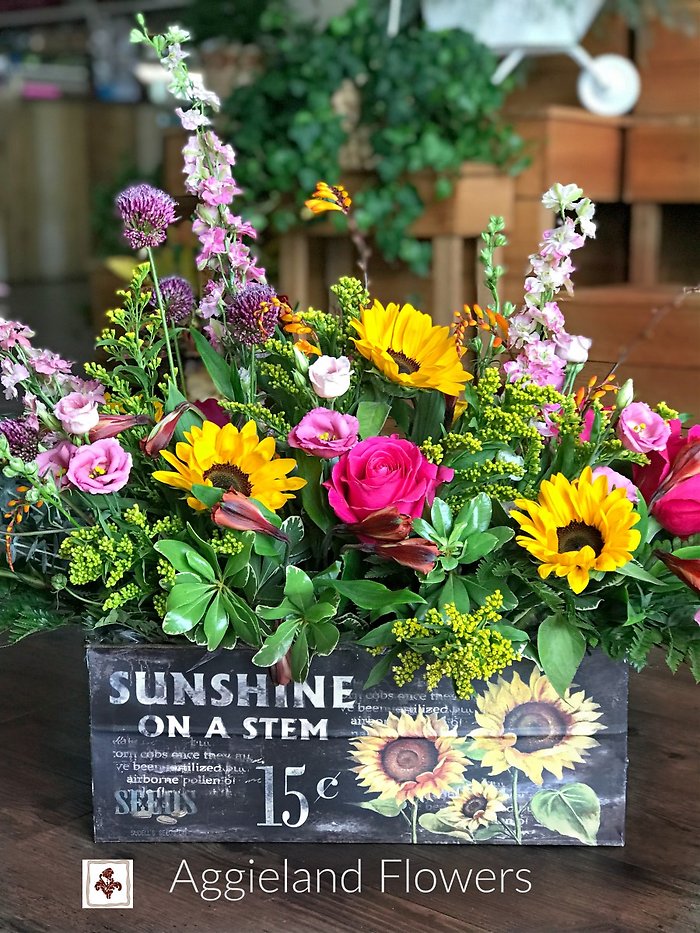 Sunshine On A Stem