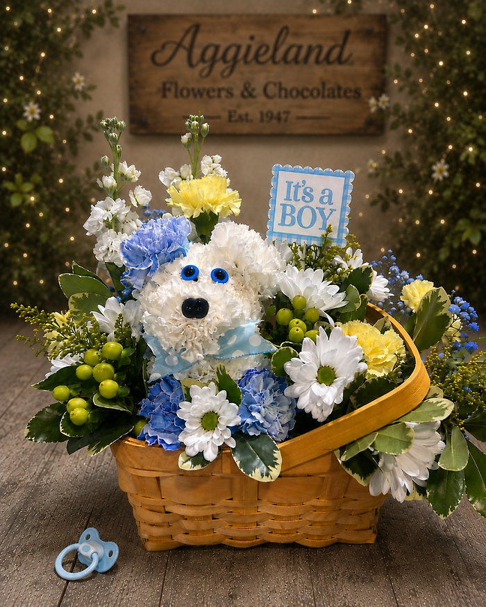 Little Wishes ~ Baby Boy