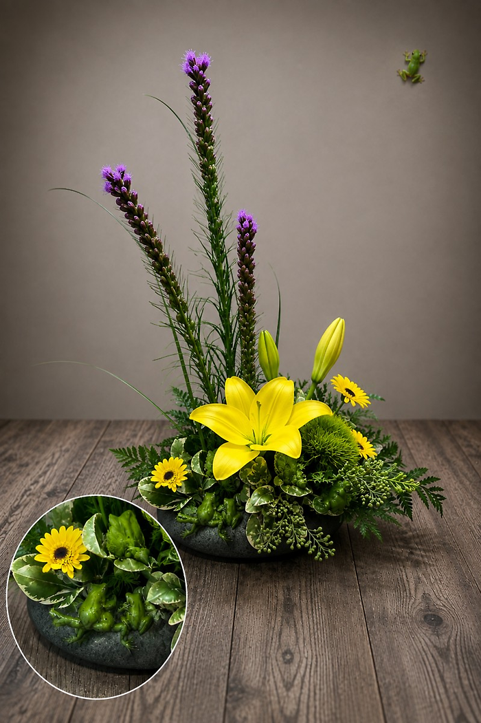 Frog and Fern