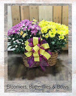 Bloomers, Butterflies & Bows