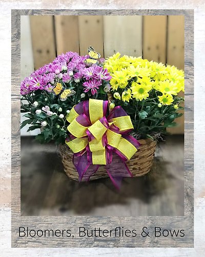 Bloomers, Butterflies & Bows
