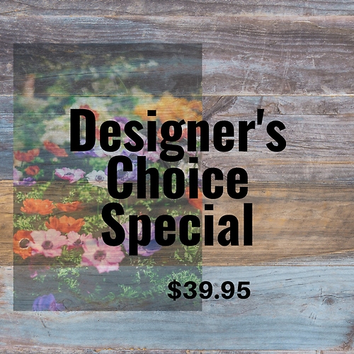 $39.95 Designer\'s Special