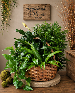Gathered Garden Basket ~ Grand
