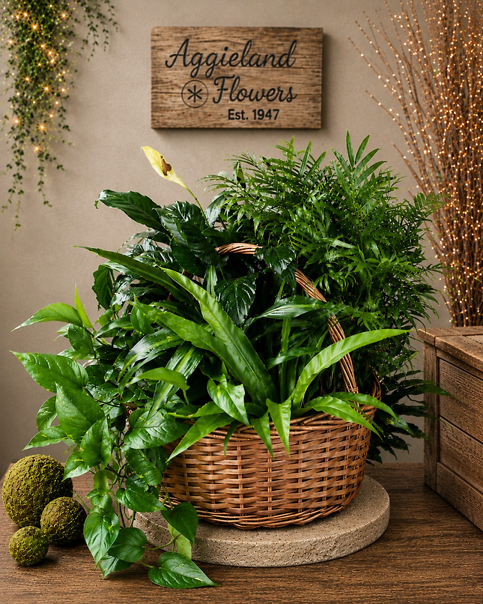 Gathered Garden Basket ~ Grand